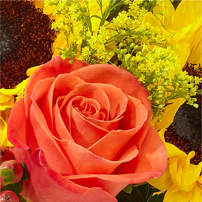 Pick of the Patch Pumpkin Bouquet –  Life Of A Flower, Dallas TX