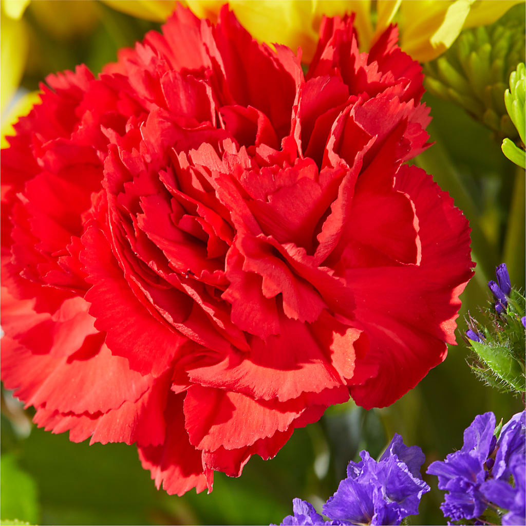 Brighter Days Bouquet –  Life Of A Flower, Dallas TX