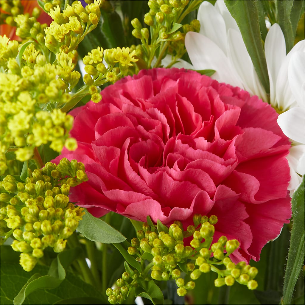 Oopsie Daisy Bouquet –  Life Of A Flower, Dallas TX