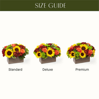 Happy Harvest Garden –  Life Of A Flower, Dallas TX