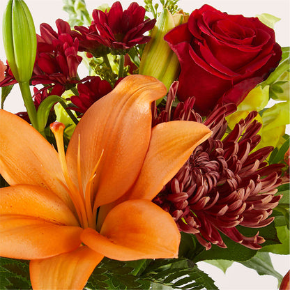 Temporada de Suéteres - Un Original de Florist