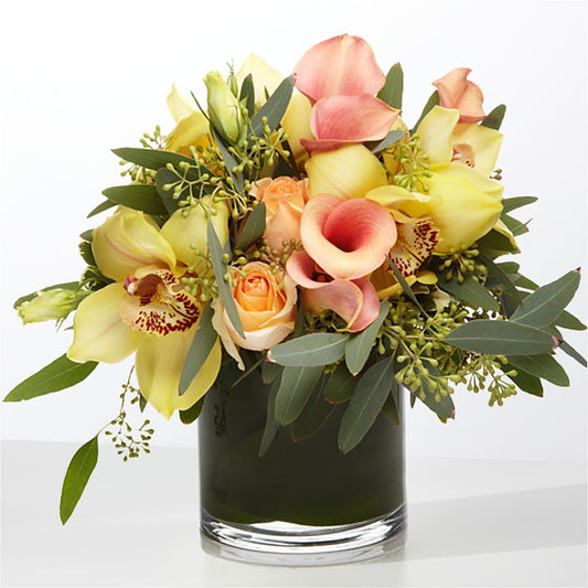 The Visionary –  Life Of A Flower, Dallas TX
