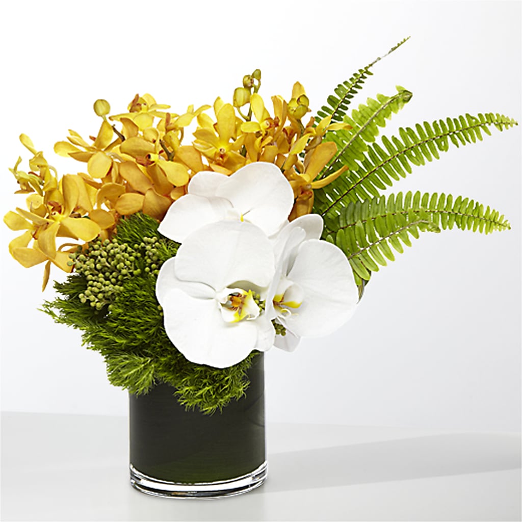 The Tropics –  Life Of A Flower, Dallas TX
