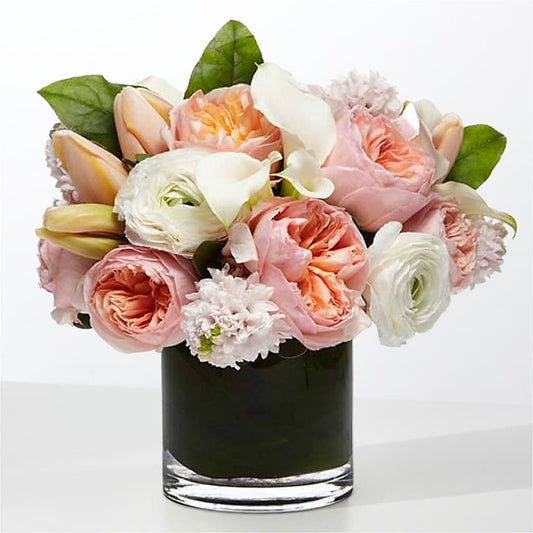 The Destiny –  Life Of A Flower, Dallas TX