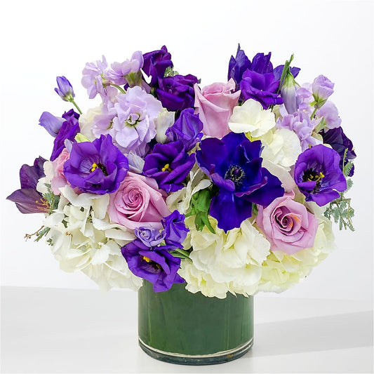 The Gemstone –  Life Of A Flower, Dallas TX