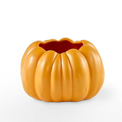 Pick of the Patch Pumpkin Bouquet –  Life Of A Flower, Dallas TX