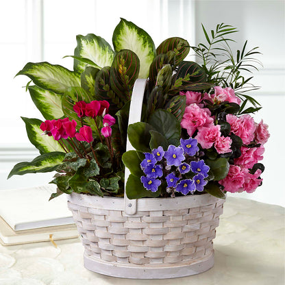 Peaceful Garden Planter –  Life Of A Flower, Dallas TX