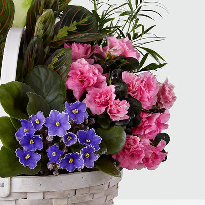 Peaceful Garden Planter –  Life Of A Flower, Dallas TX