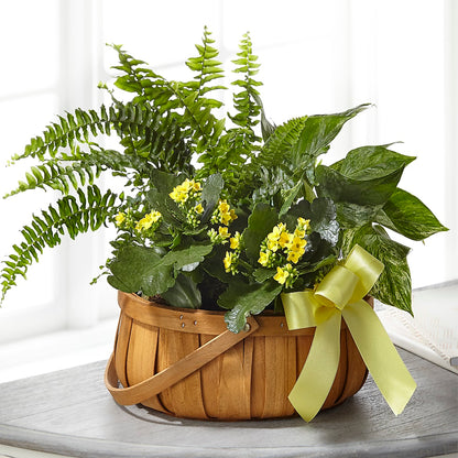 Always Dear Dishgarden –  Life Of A Flower, Dallas TX