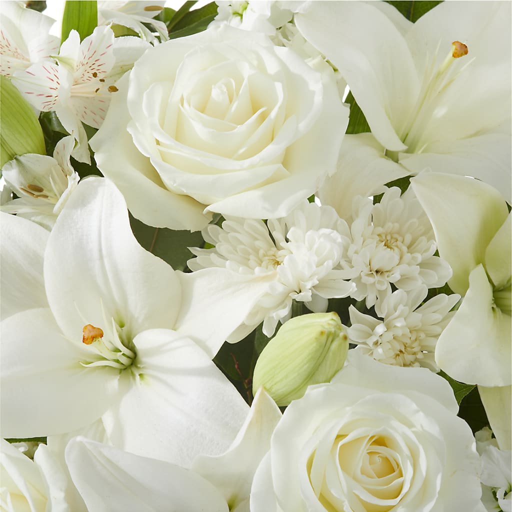 Peaceful Reflections Arrangement –  Life Of A Flower, Dallas TX