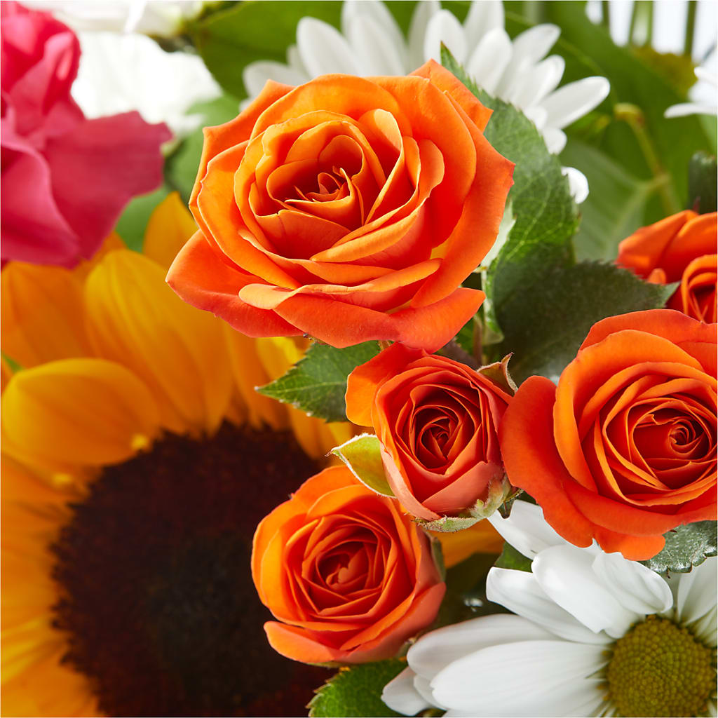 Sun-drenched Blooms Bouquet –  Life Of A Flower, Dallas TX