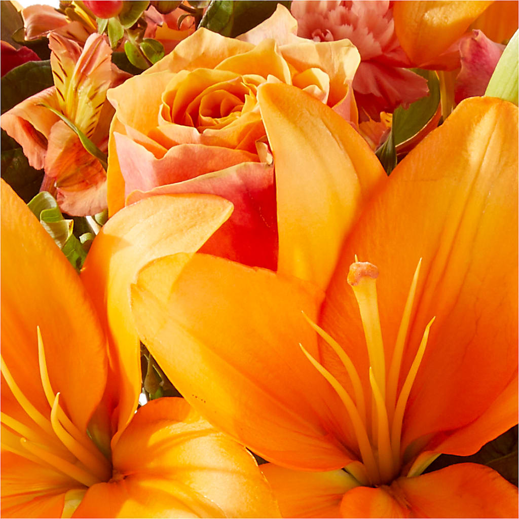 Afternoon Light Bouquet –  Life Of A Flower, Dallas TX