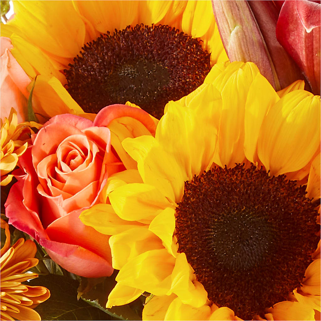 Acorn Lane Bouquet –  Life Of A Flower, Dallas TX
