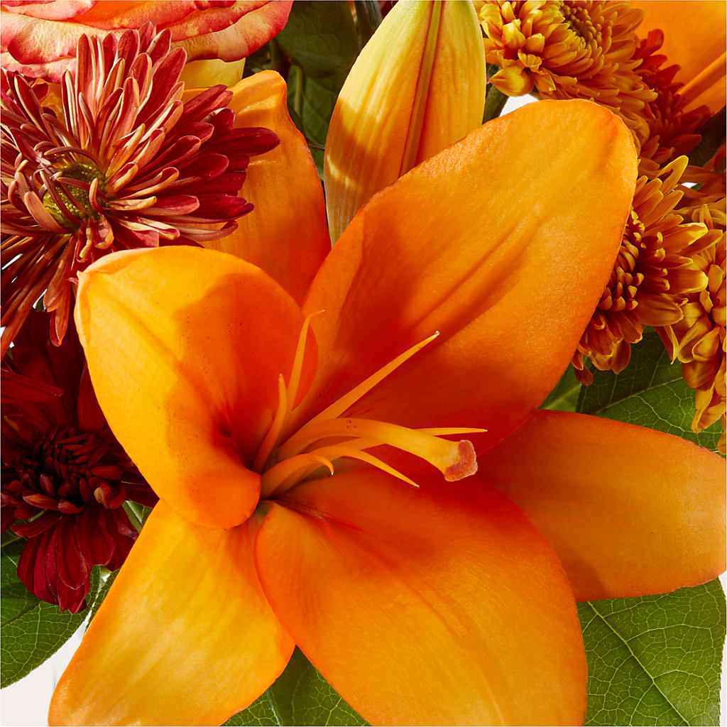 Autumnal Aroma Bouquet –  Life Of A Flower, Dallas TX