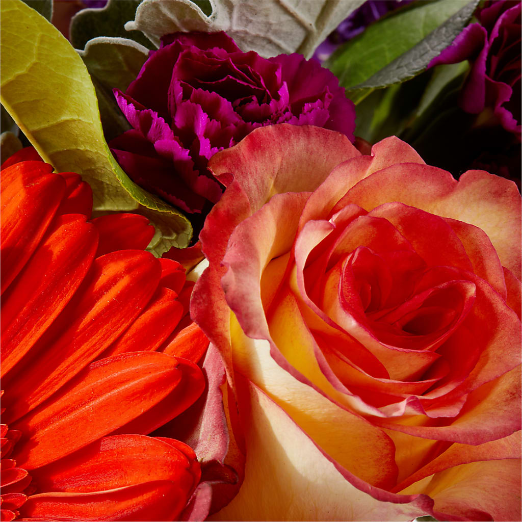 Sangria Bouquet –  Life Of A Flower, Dallas TX