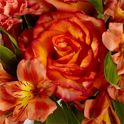 Apricot Glow Bouquet –  Life Of A Flower, Dallas TX