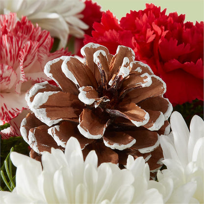 Candy Cane Lane Bouquet –  Life Of A Flower, Dallas TX