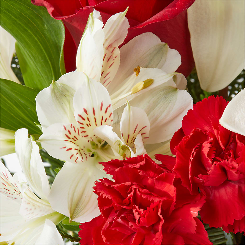 Holiday Season Bouquet –  Life Of A Flower, Dallas TX