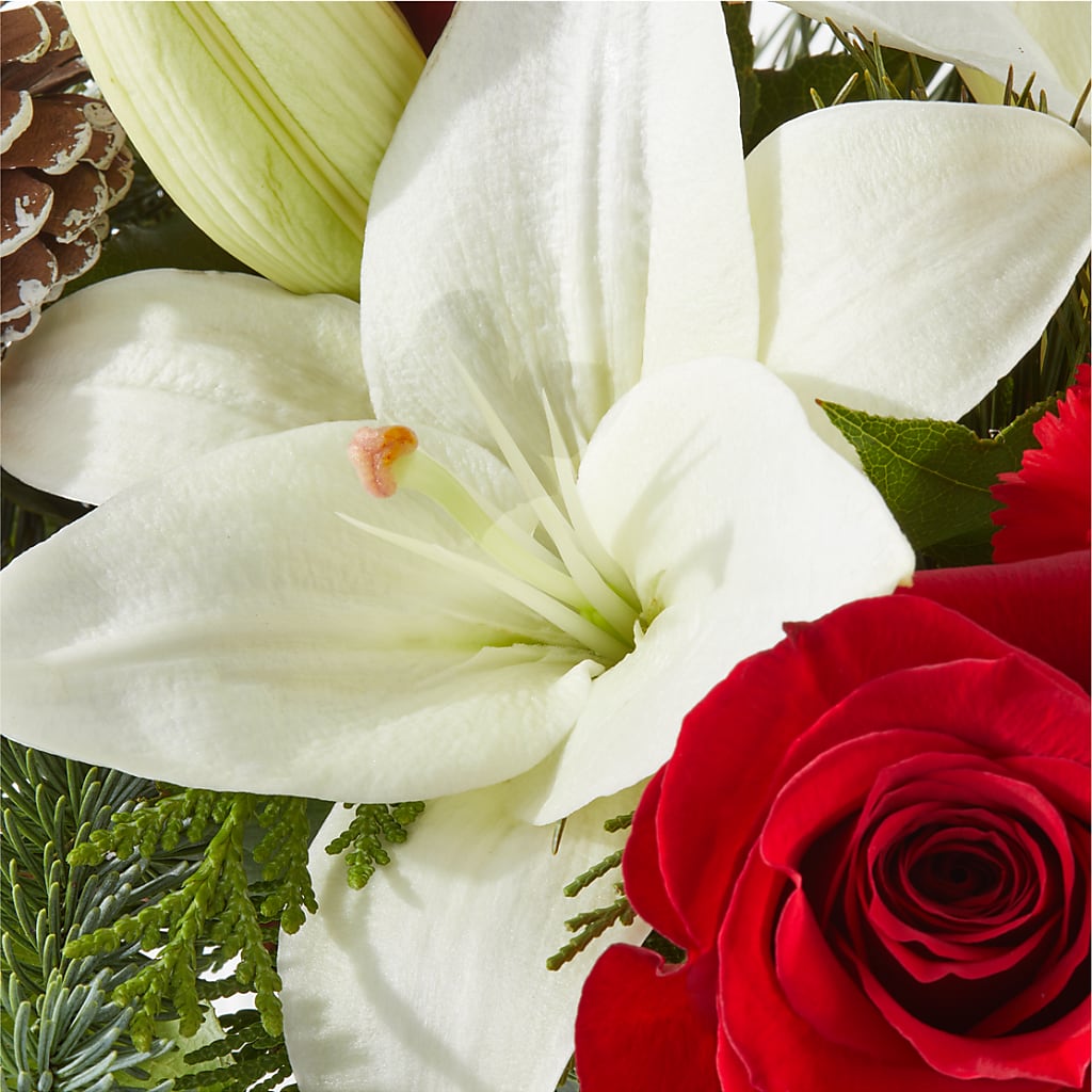 Oh So Jolly Bouquet –  Life Of A Flower, Dallas TX