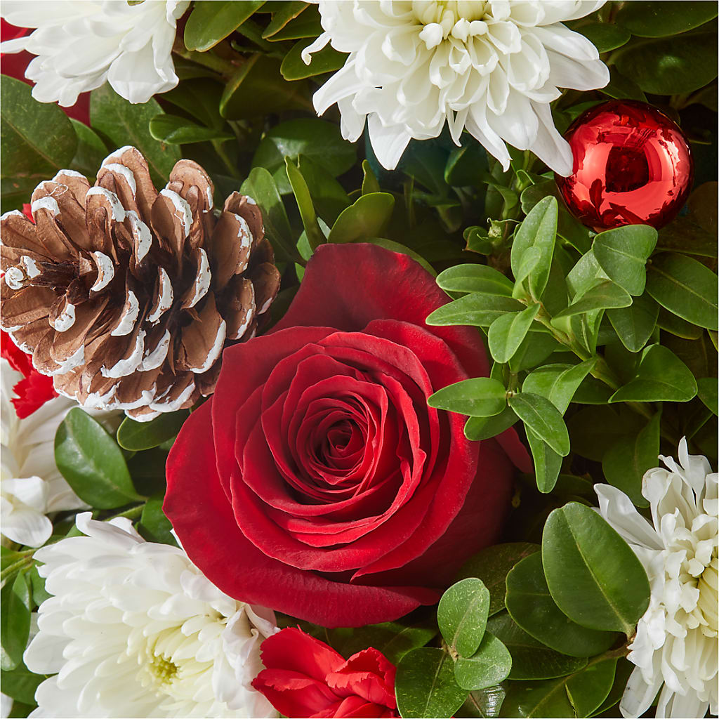 Let It Snow Tree –  Life Of A Flower, Dallas TX