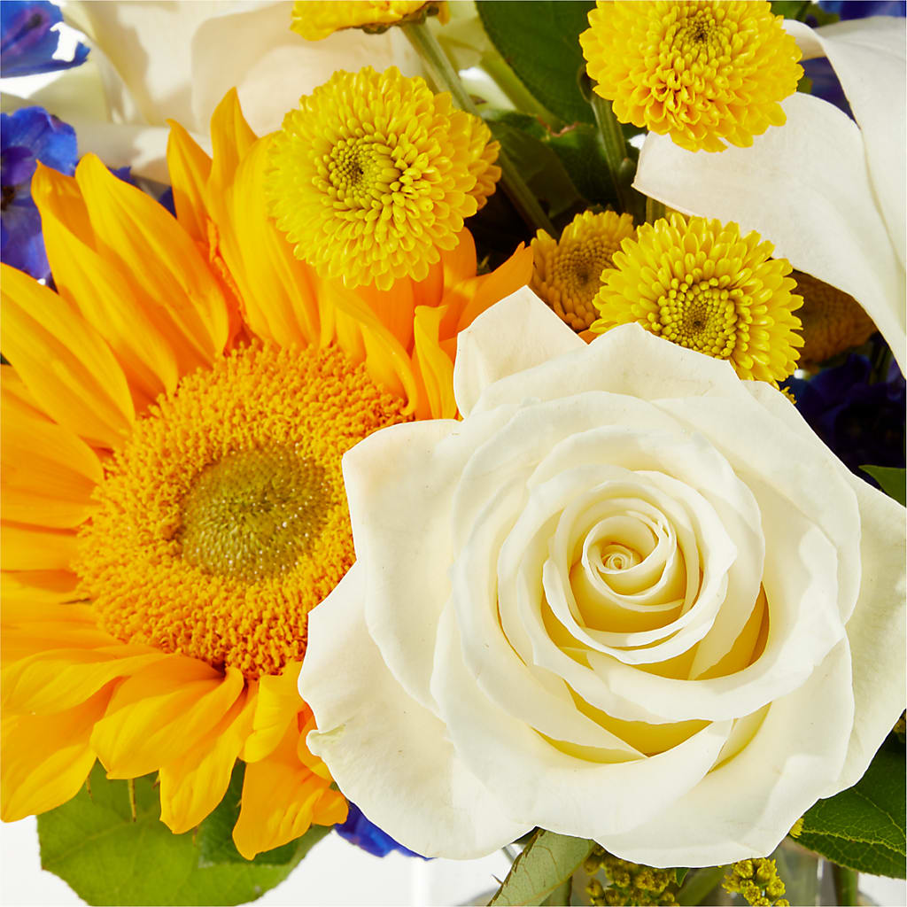 Stargazing Bouquet –  Life Of A Flower, Dallas TX