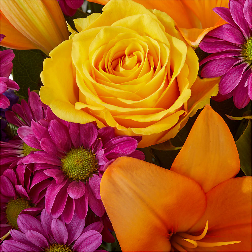 Colorful Visions Bouquet –  Life Of A Flower, Dallas TX