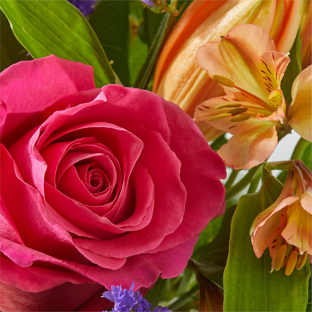 Joyful Bouquet –  Life Of A Flower, Dallas TX