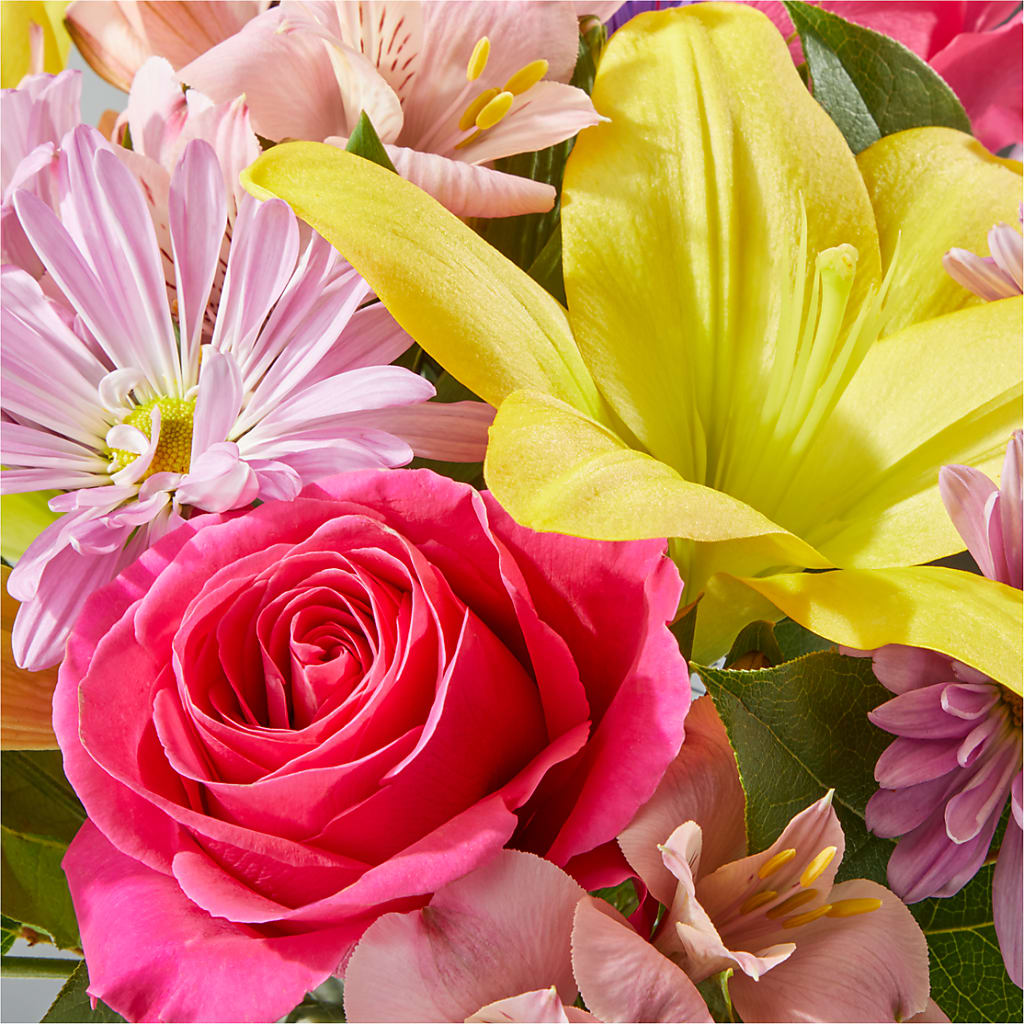 Sprinkles Bouquet –  Life Of A Flower, Dallas TX