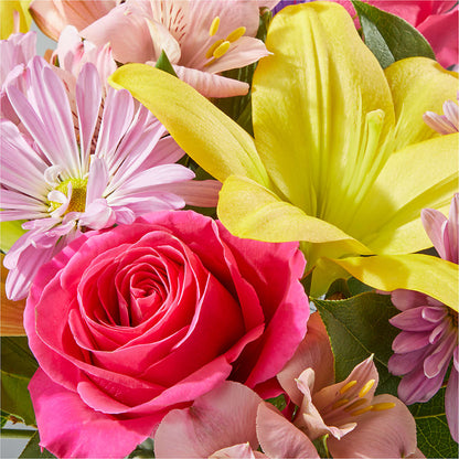 Sprinkles Bouquet –  Life Of A Flower, Dallas TX