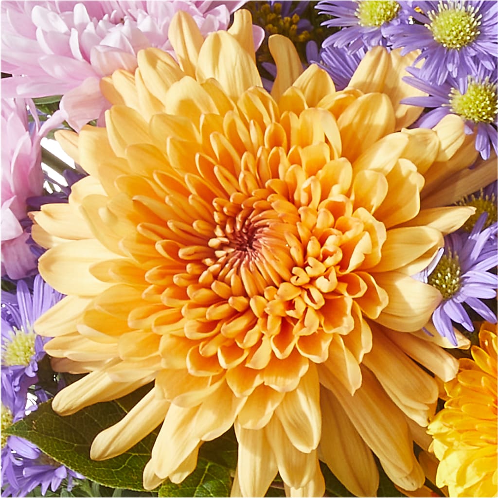 Countryside Bouquet –  Life Of A Flower, Dallas TX