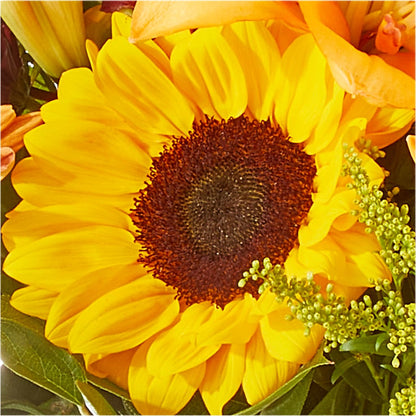 Seasons Change Bouquet –  Life Of A Flower, Dallas TX