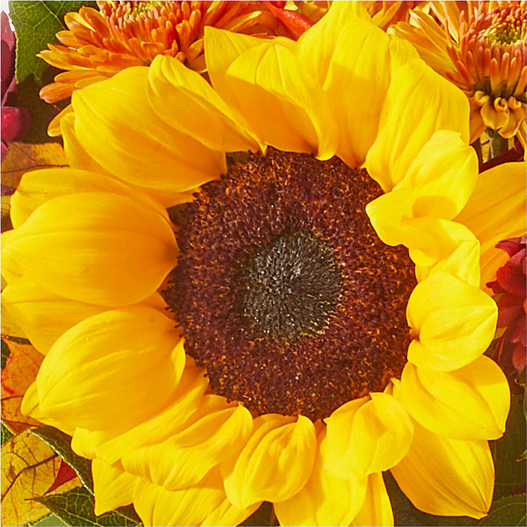 Sunny Side Bouquet –  Life Of A Flower, Dallas TX
