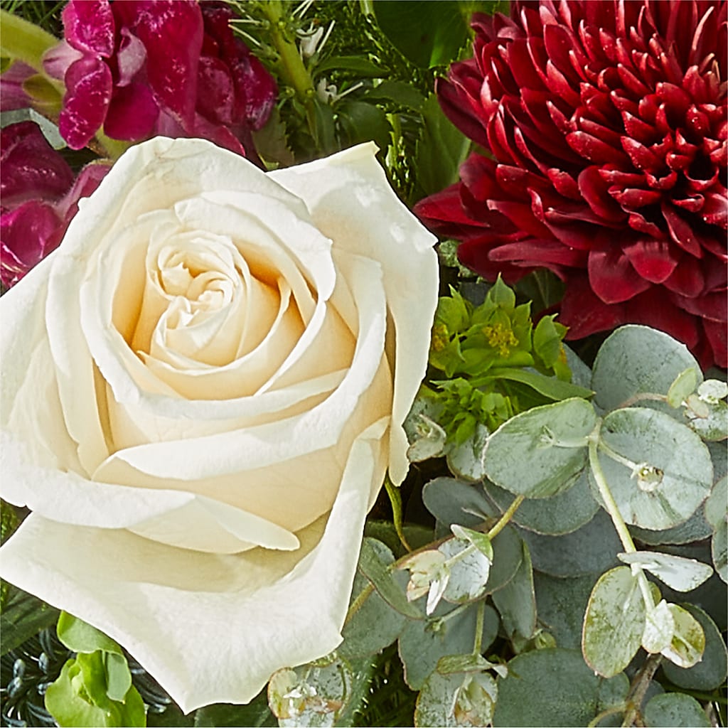 Cranberry Fizz Bouquet –  Life Of A Flower, Dallas TX