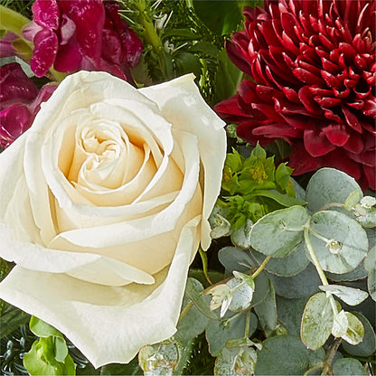 Cranberry Fizz Bouquet –  Life Of A Flower, Dallas TX