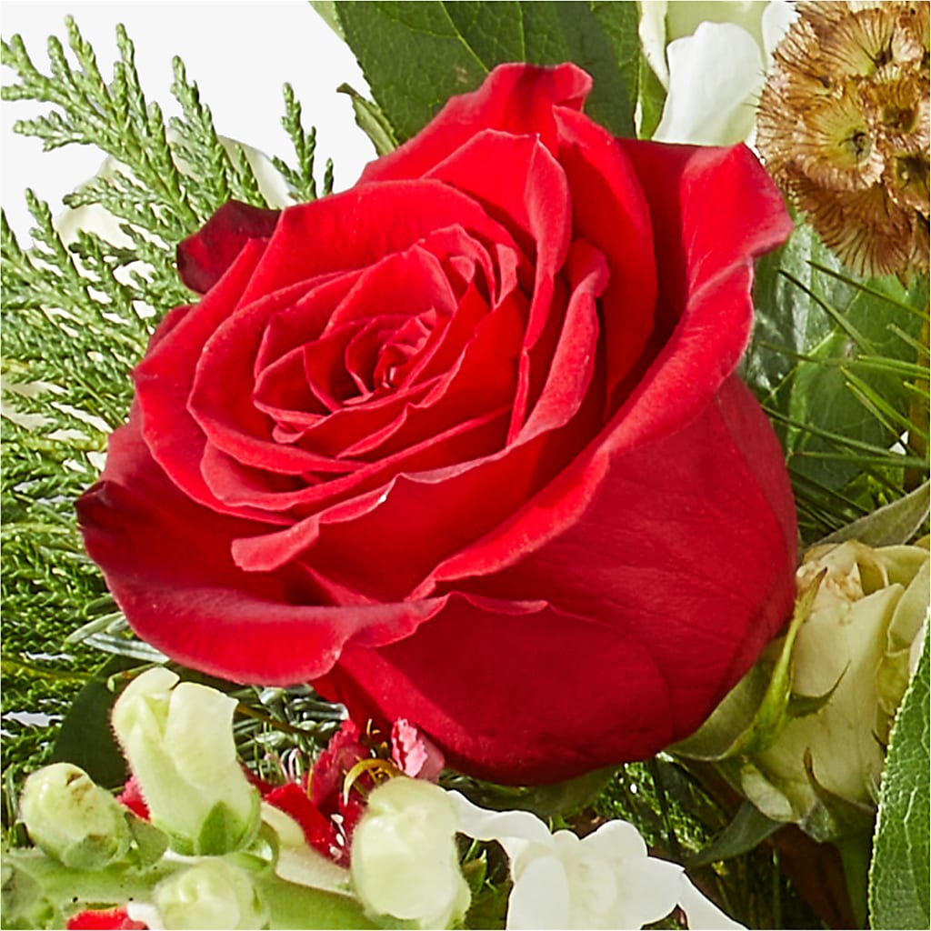 Deck the Halls Bouquet –  Life Of A Flower, Dallas TX