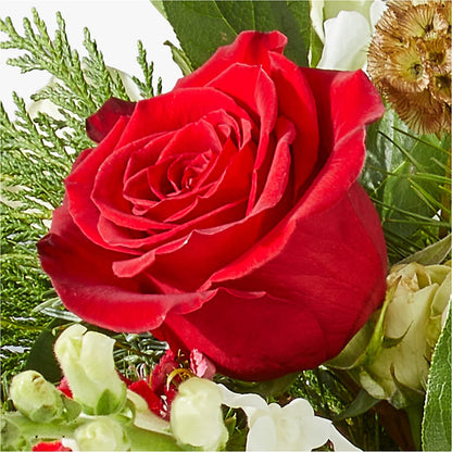 Deck the Halls Bouquet –  Life Of A Flower, Dallas TX