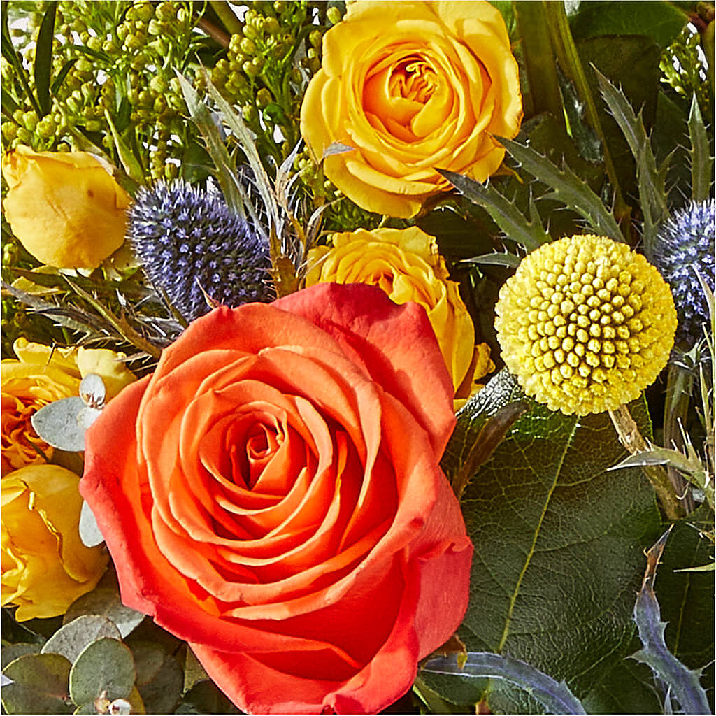 Disco Bouquet –  Life Of A Flower, Dallas TX