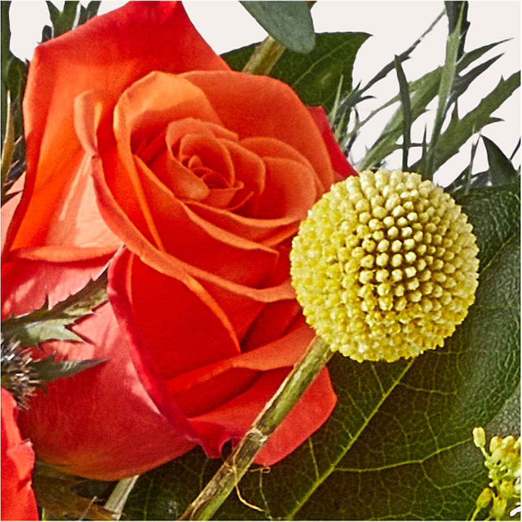Disco Bouquet –  Life Of A Flower, Dallas TX