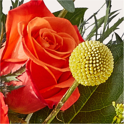 Disco Bouquet –  Life Of A Flower, Dallas TX
