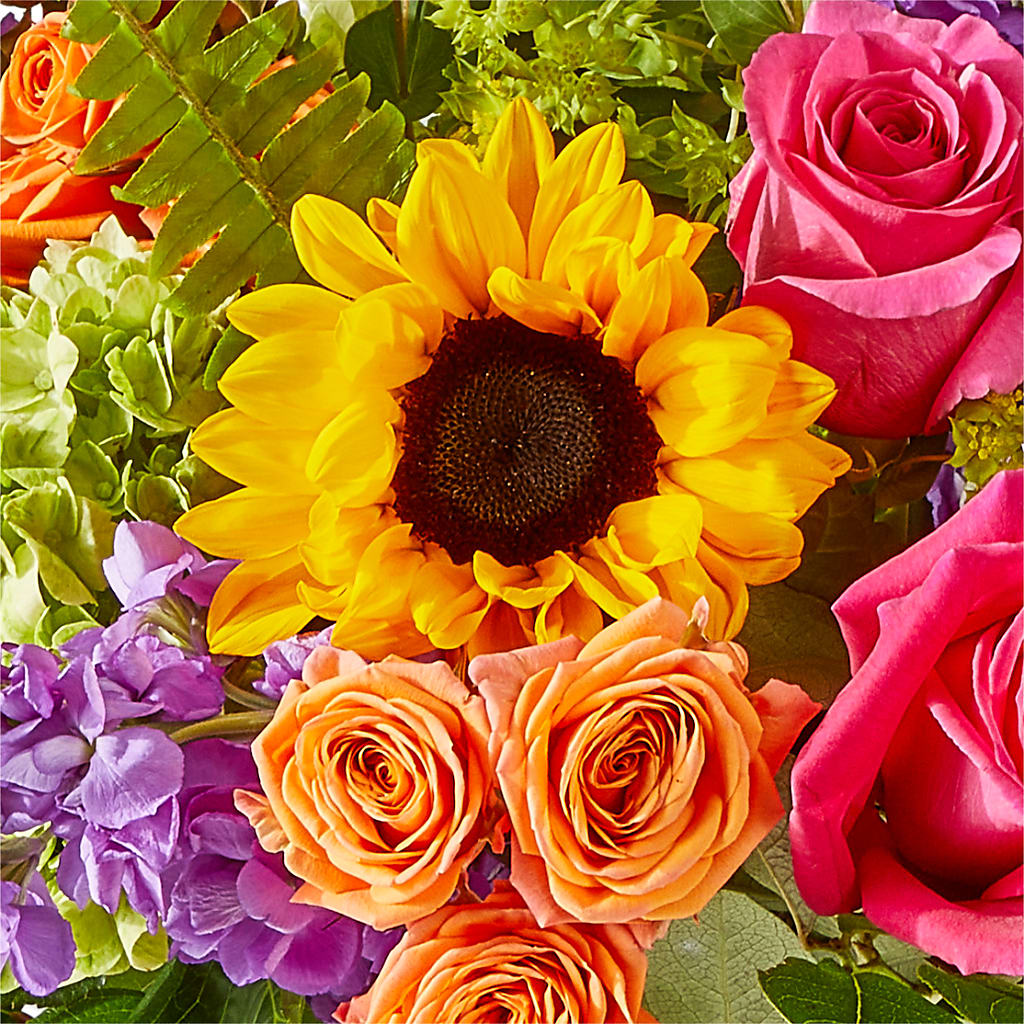 Vibrant Greetings Bouquet –  Life Of A Flower, Dallas TX