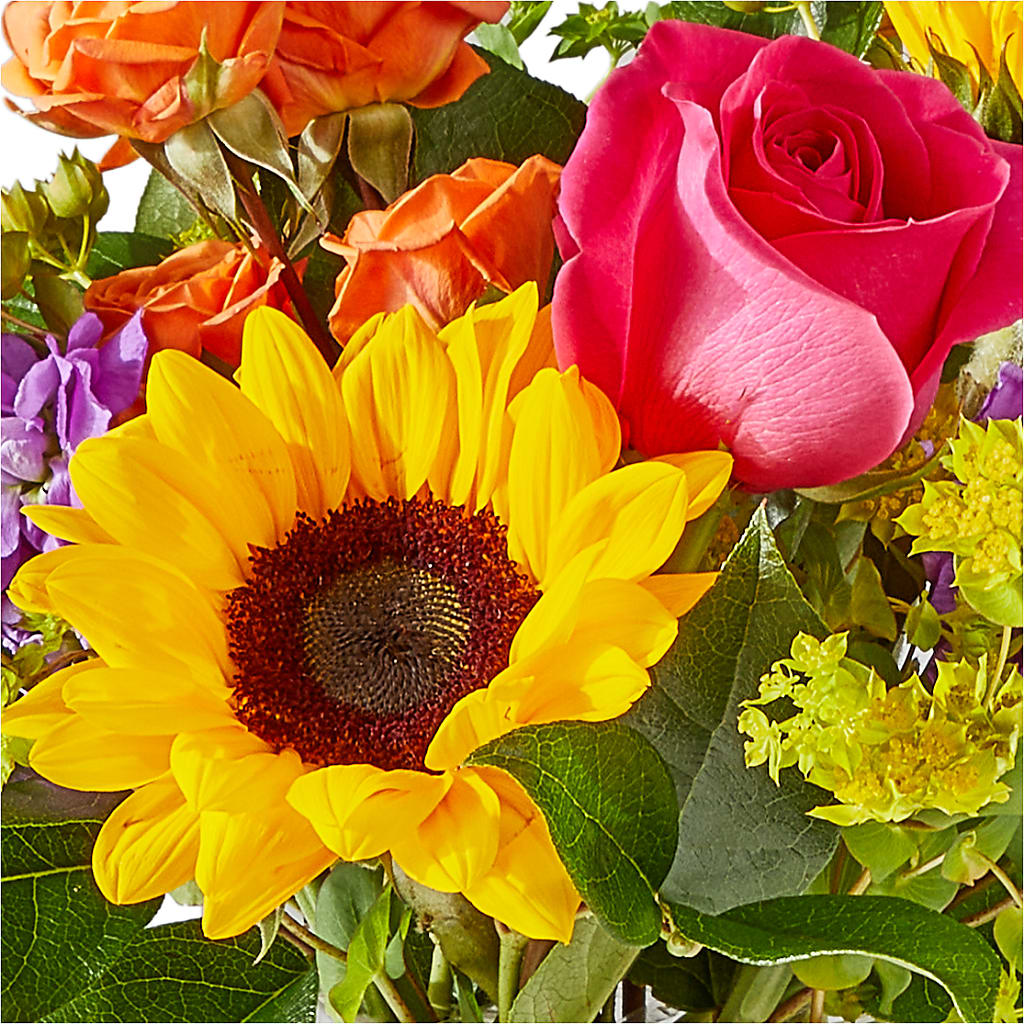 Vibrant Greetings Bouquet –  Life Of A Flower, Dallas TX