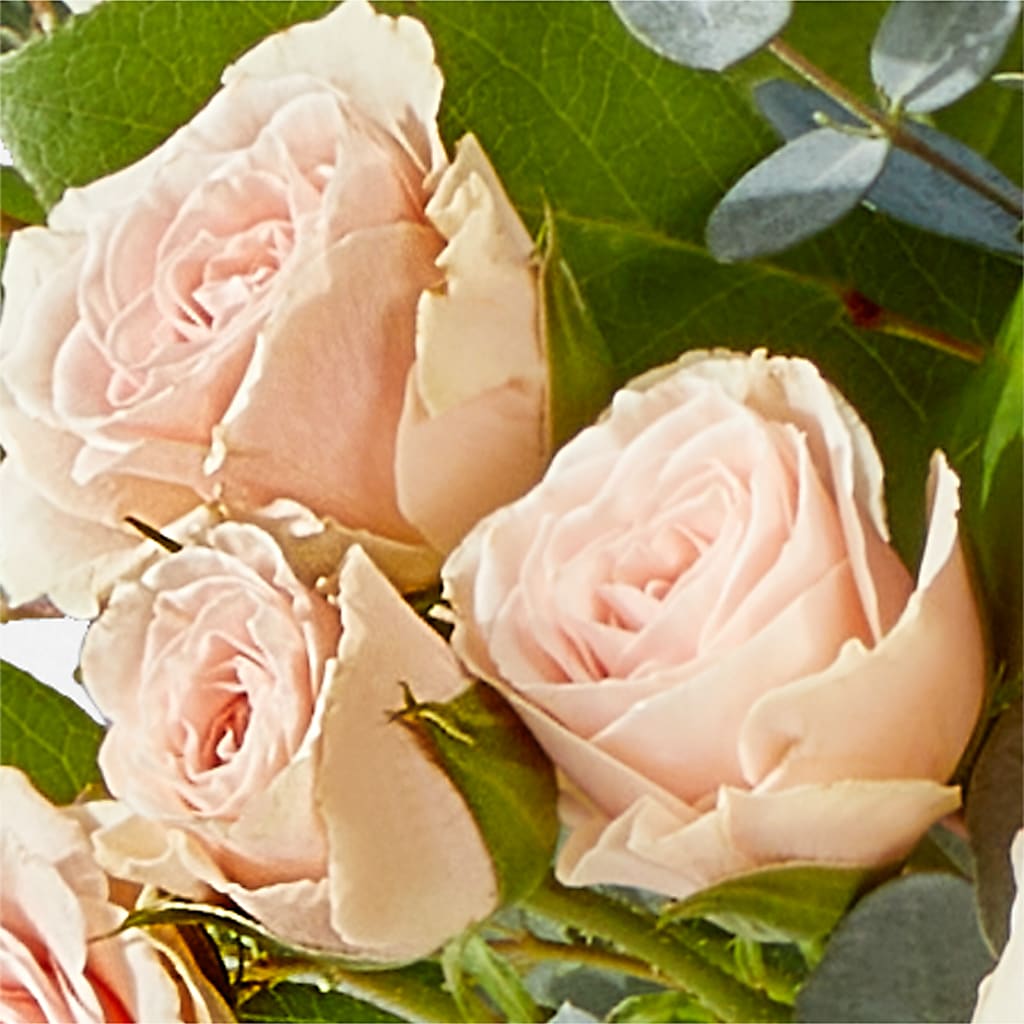 Inspired Bouquet –  Life Of A Flower, Dallas TX