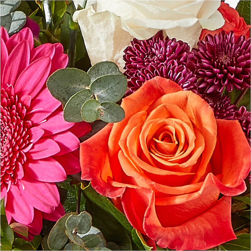 Smell the Roses Bouquet –  Life Of A Flower, Dallas TX
