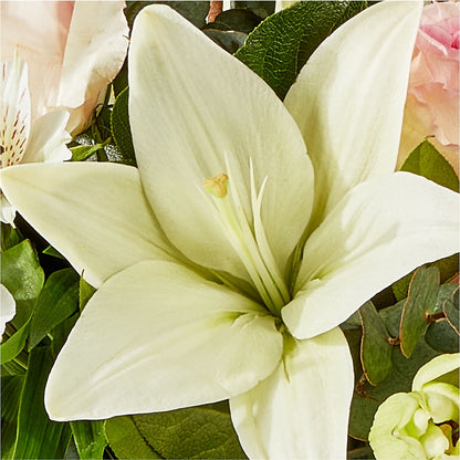 Ballet Slippers Bouquet –  Life Of A Flower, Dallas TX