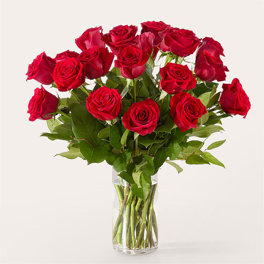 The One Red Rose Bouquet –  Life Of A Flower, Dallas TX