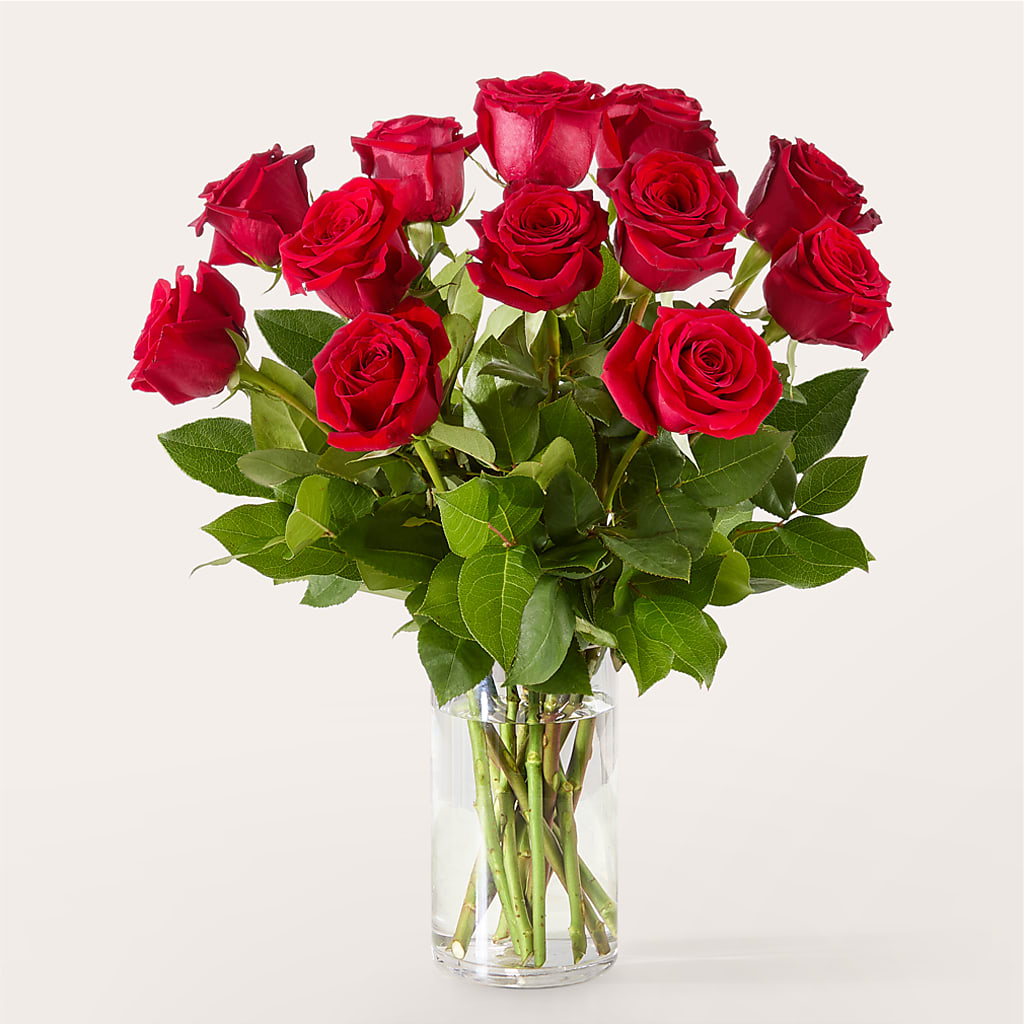 The One Red Rose Bouquet –  Life Of A Flower, Dallas TX