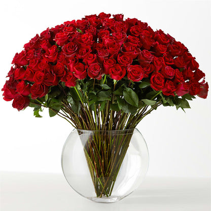 The Idealist –  Life Of A Flower, Dallas TX