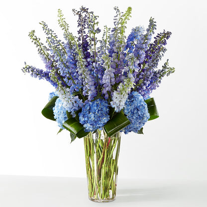The Editorial –  Life Of A Flower, Dallas TX