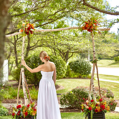 Arbor of Love Archway –  Life Of A Flower, Dallas TX