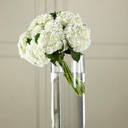 White Hydrangea Hand-Tied Bouquet –  Life Of A Flower, Dallas TX